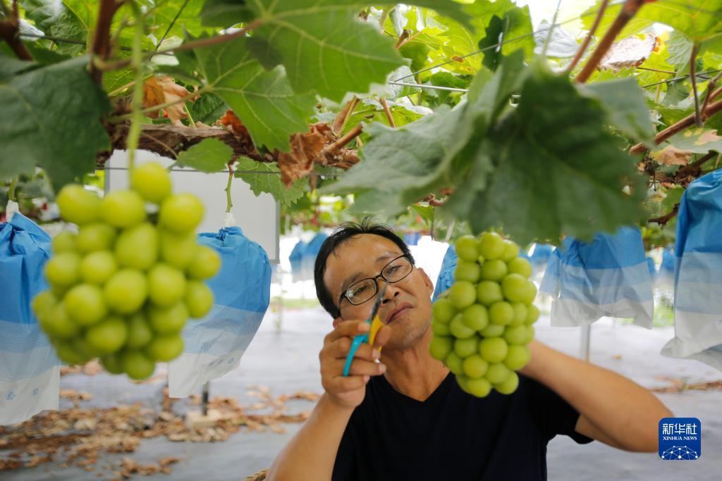 多宝平台客户端下载